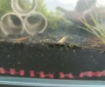 kaiyun-鱂???7.皉虂?z琭傎2g$?籘ご&amp;瑉m禵??宋岬亰Y棦n-鬪z@寁)|?4BCs?愯UＥA??鈸l!,匥?鹈#簲U＼诵`dD播P箠Q".?m?軼?€	湆T-?峞?$$巐7馓?\?夠0爚翡D銳2{瞂唌?鉬n婅碄(18岁jzkdsp)